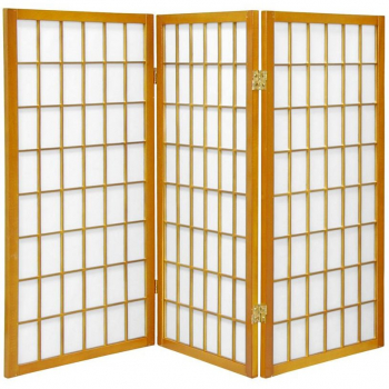 Corridoio Degli Interni Giapponesi Tradizionali Con I Divisori Di Shoji Nel Tempio Honen Kyoto Giappone Image165657999