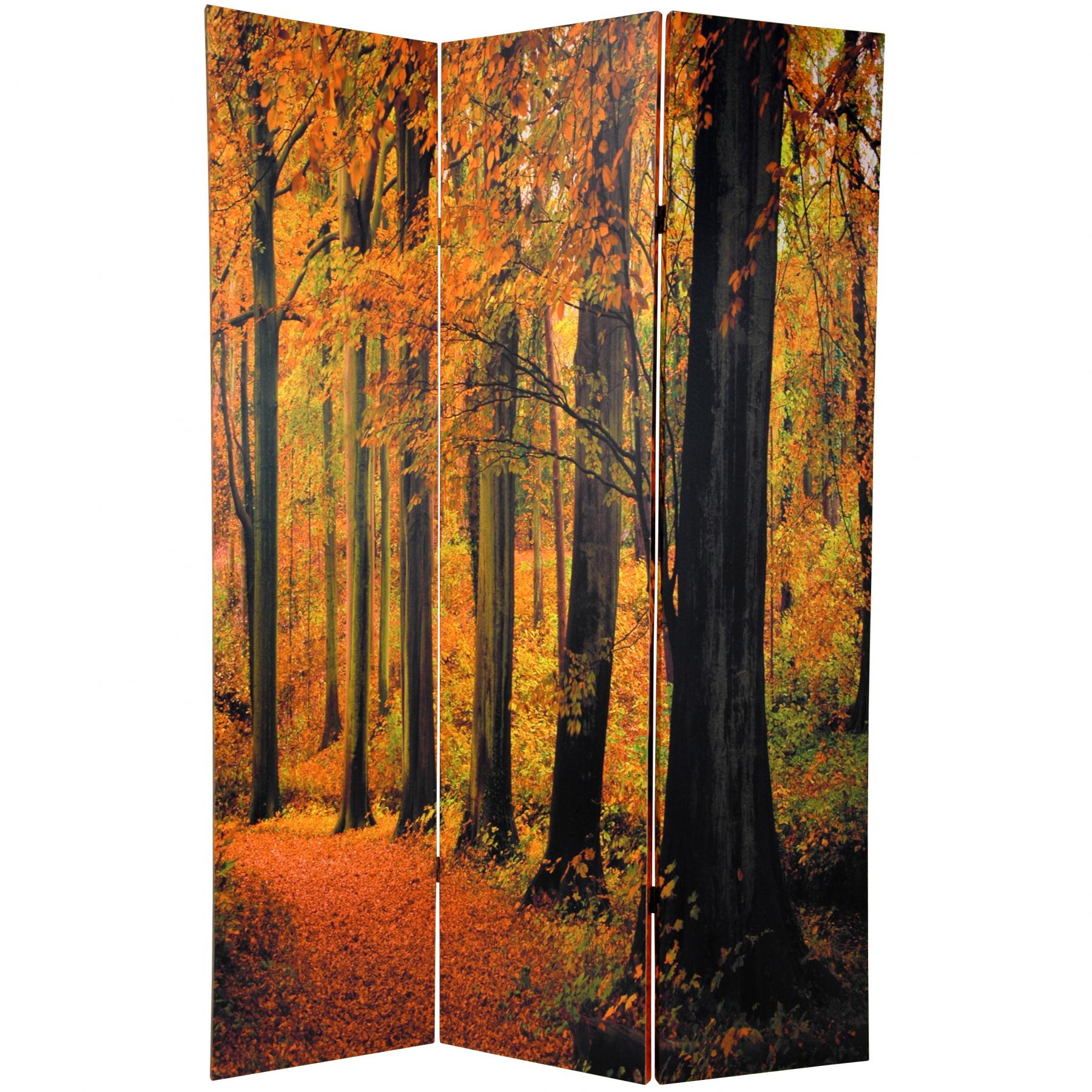 6 ft. Tall Double Sided Autumn Trees Room Divider | RoomDividers.com